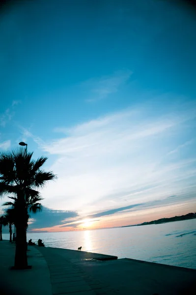Beautiful Sunset Beach Palm Trees People — Stock Photo, Image
