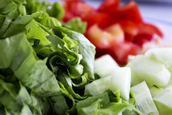 Salat Med Salat Tomat Løk Agurk Ingen Mennesker – stockfoto