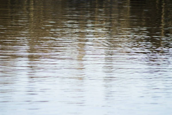 Seewasser Mit Defokussierten Reflektierten Bäumen Kein Volk — Stockfoto