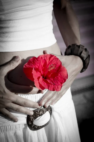 Ventre Plat Femme Avec Fleur Rouge Symptôme Santé — Photo