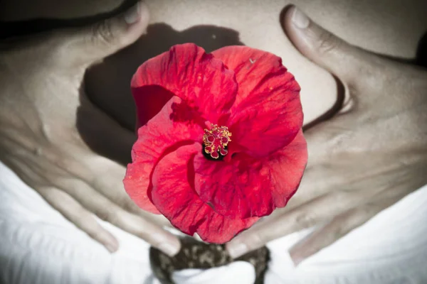 Vientre Plano Mujer Con Flor Roja Síntoma Salud — Foto de Stock