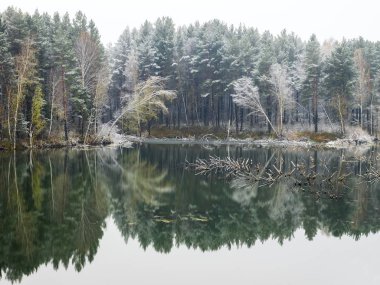 Ağaçlar ve Gölü nün su yansımaları