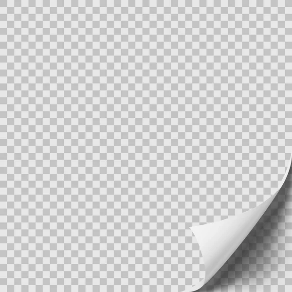 Weißes gerolltes Blatt Papier mit Schatten — Stockvektor