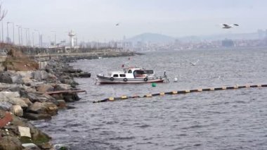 Taş kıyısı, gemi, denizin üzerinde uçan martılar.