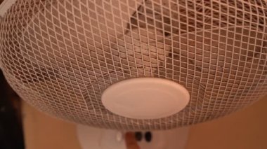 White fan works with dirty blades