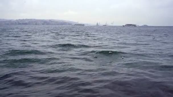 Los barcos, las olas y las gaviotas están en el mar de invierno — Vídeo de stock