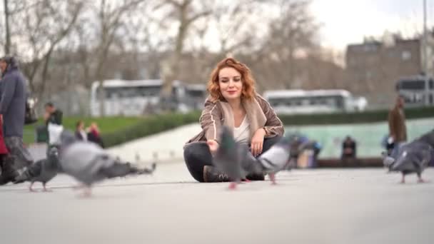 The girl sits in the square and feeding pigeons — Stockvideo