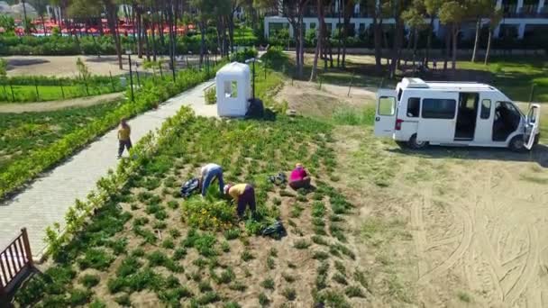 Люди роблять овочевий сад поруч з видом на готель — стокове відео