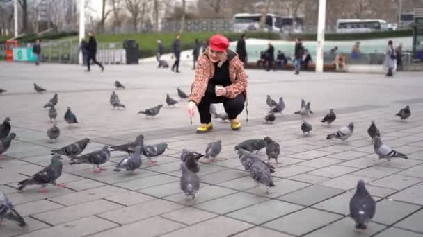 Loira cheia em roupas brilhantes alimentando pombos — Vídeo de Stock
