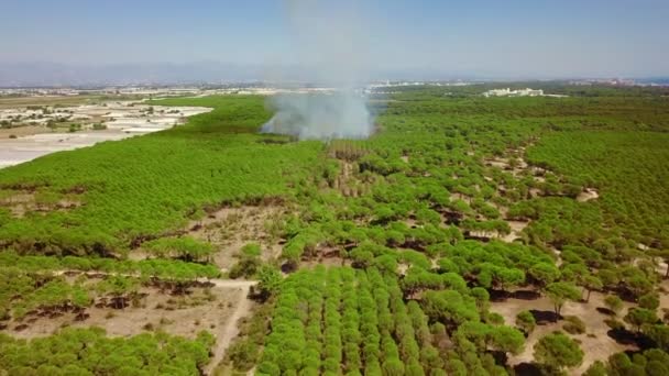A fire in an open area in the garden in the desert — Stok video