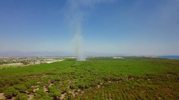 A fire in an open area in the garden in the desert — Stockvideo