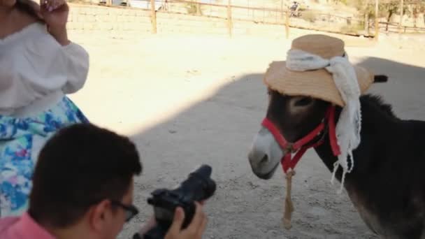 Zabawny osioł w kapeluszu na sesji zdjęciowej na pustyni. — Wideo stockowe