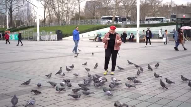 Full blonde in bright clothes feeding pigeons — Stockvideo