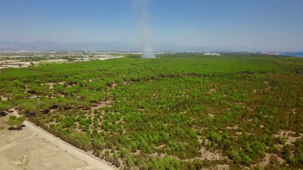 Api di area terbuka di taman di padang pasir — Stok Video
