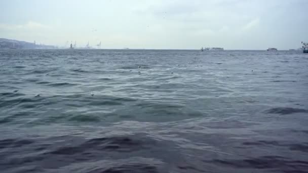 Los barcos, las olas y las gaviotas están en el mar de invierno — Vídeo de stock