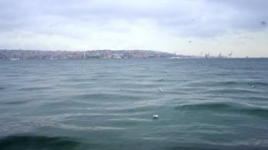 Gemiler, dalgalar ve martılar kış denizinde