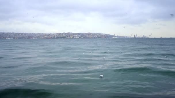 Los barcos, las olas y las gaviotas están en el mar de invierno — Vídeo de stock