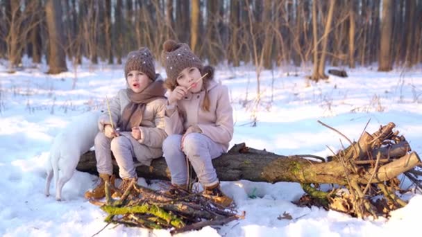 Irmãs sentadas na floresta e comer cachorros-quentes — Vídeo de Stock