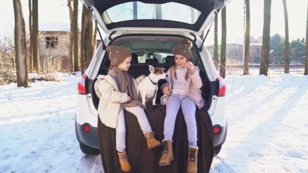 Dos hermanas sentadas en el maletero de un coche con perro — Vídeos de Stock