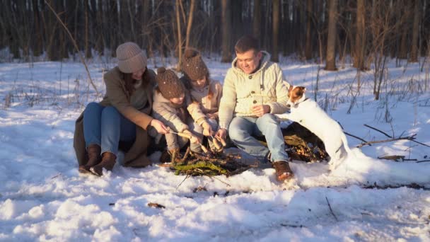 Family roast on the campfire weenies in the winter — Αρχείο Βίντεο