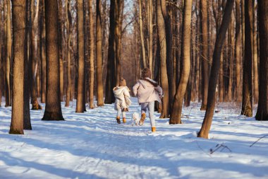 Children run through the winter forest with a dog