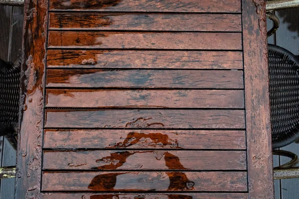 Texture of wet wood — Stockfoto