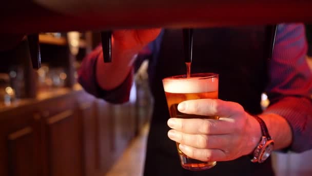 Bar Bartender hälla öl från fat i glas — Stockvideo