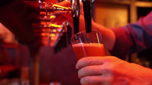 В баре Бармен наливает пиво из бочек в стекло — стоковое видео