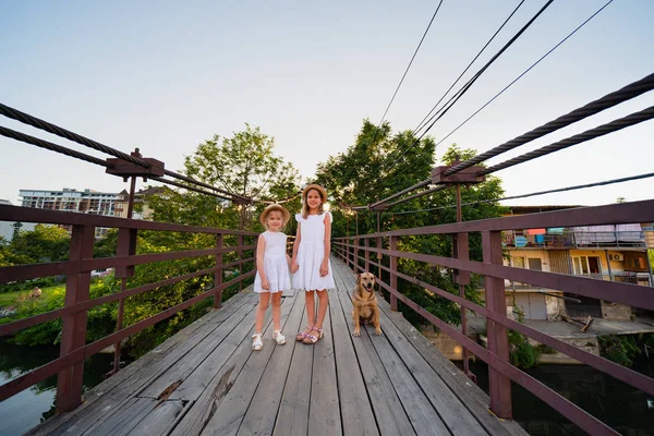 Twee meisjes met een zwerfhond op houten brug — Stockfoto