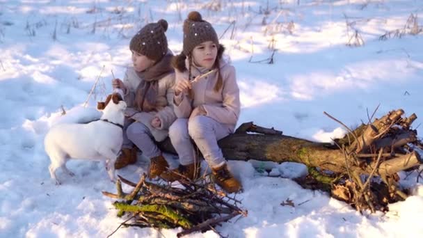 Hermanas sentadas en el bosque y comiendo perritos calientes — Vídeos de Stock