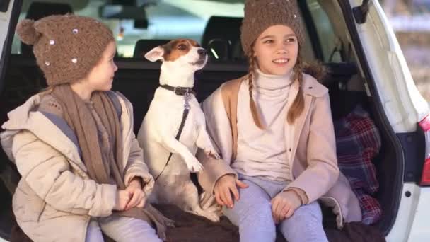 Two sisters sitting in the trunk of a car with dog — Stock video