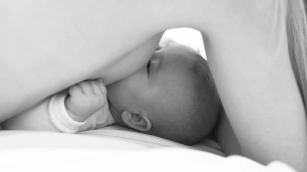 Baby is breastfed eats lying. Black-and-white. — Stok video
