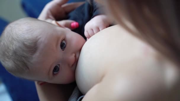 Lactancia materna. El niño se come las manos de mamá. vista desde arriba . — Vídeo de stock