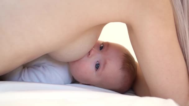 Baby is breastfed eats lying. — Stock Video