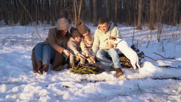 Family roast on the campfire weenies in the winter — Stockvideo