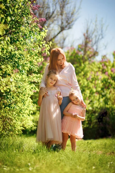 A mom with daughters stand among the lilac bushes — Stockfoto