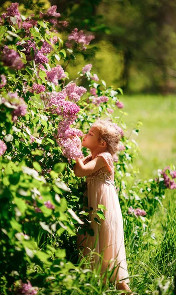 Meisje snuift lila struiken. bloeiende tuinen — Stockfoto