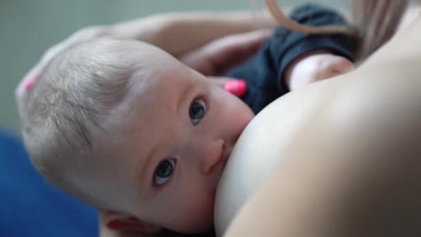 Lactancia materna. El niño se come las manos de mamá. vista desde arriba . — Vídeo de stock