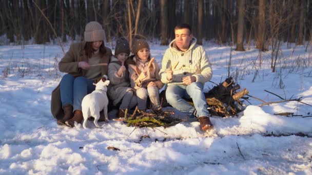 Family roast on the campfire weenies in the winter — 图库视频影像