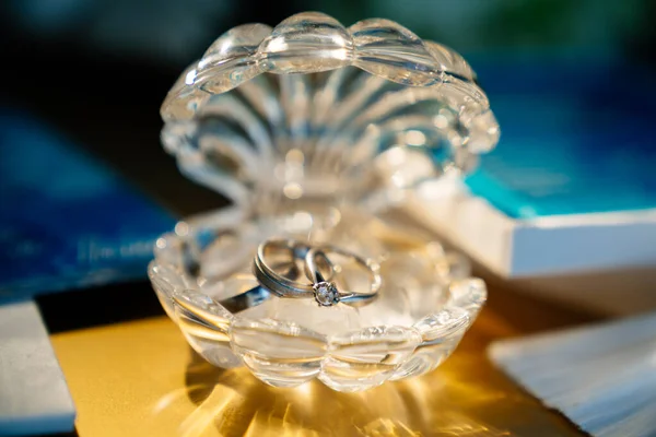 Anillos de boda en ataúd de cristal en forma de conchas — Foto de Stock