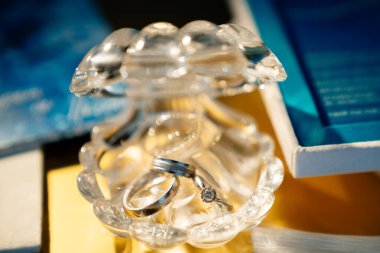 Kristal tabut şeklinde alyanslar.