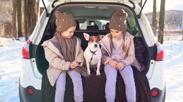 Two sisters sitting in the trunk of a car with dog — 图库视频影像