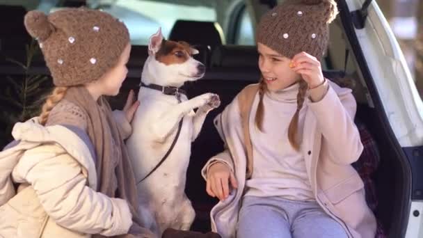 Two sisters sitting in the trunk of a car with dog — Stock videók