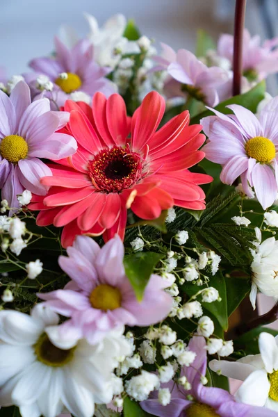 Живой букет красочных хризантем крупным планом . — стоковое фото