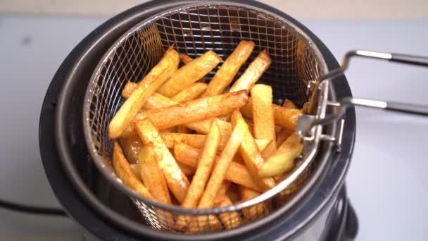 Hem mini fritös få en korg pommes frites. — Stockvideo