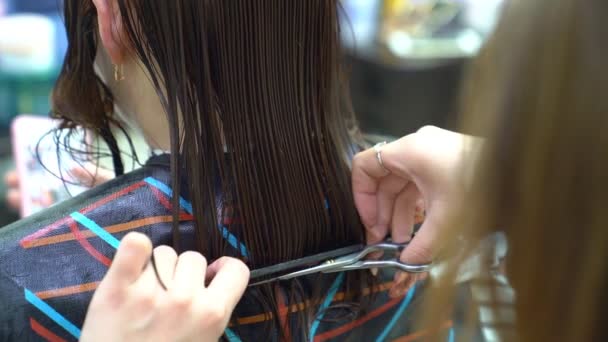 Стрижка мокрого волосся з ножицями в перукарні . — стокове відео
