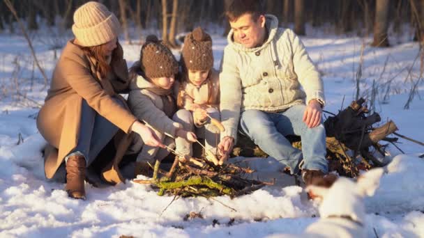 Family roast on the campfire weenies in the winter — 图库视频影像