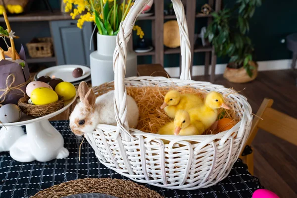 white Bunny and three duck white basket on table