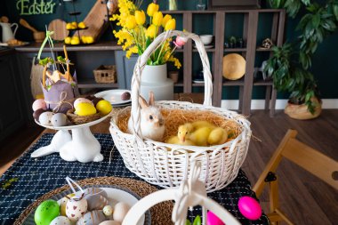 Masada beyaz tavşan ve üç ördek beyazı sepet.