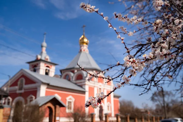 De lente. Rusland Bataysk 03.28.2020 Kerkelijke hemelvaart — Stockfoto